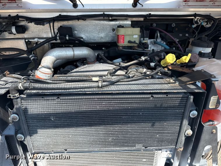 image for item EG6106 2010 Workhorse W62 delivery truck