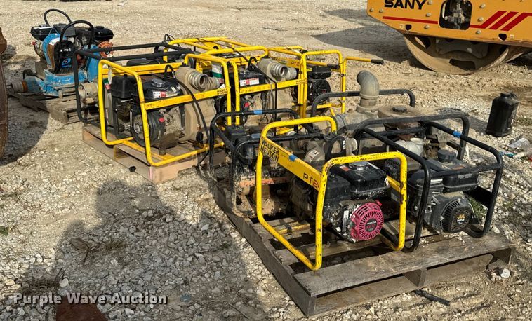 image for item DO2329 (11) pumps