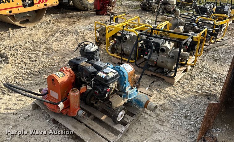 image for item DO2329 (11) pumps