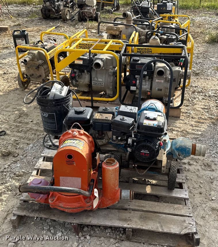 image for item DO2329 (11) pumps