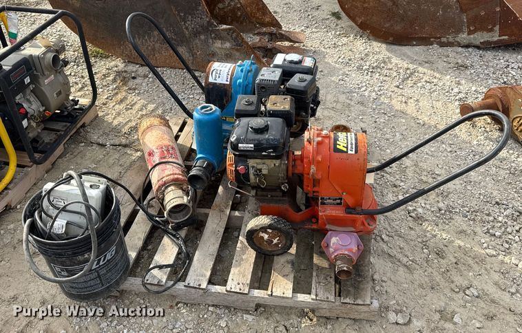 image for item DO2329 (11) pumps