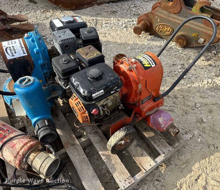 image for item DO2329 (11) pumps