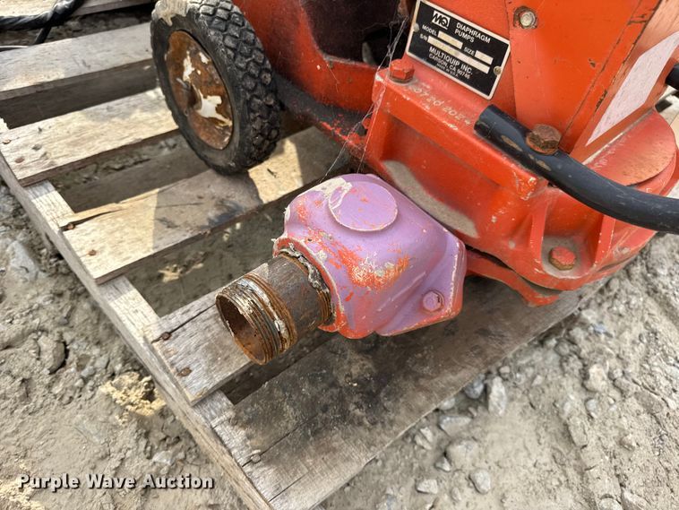 image for item DO2329 (11) pumps