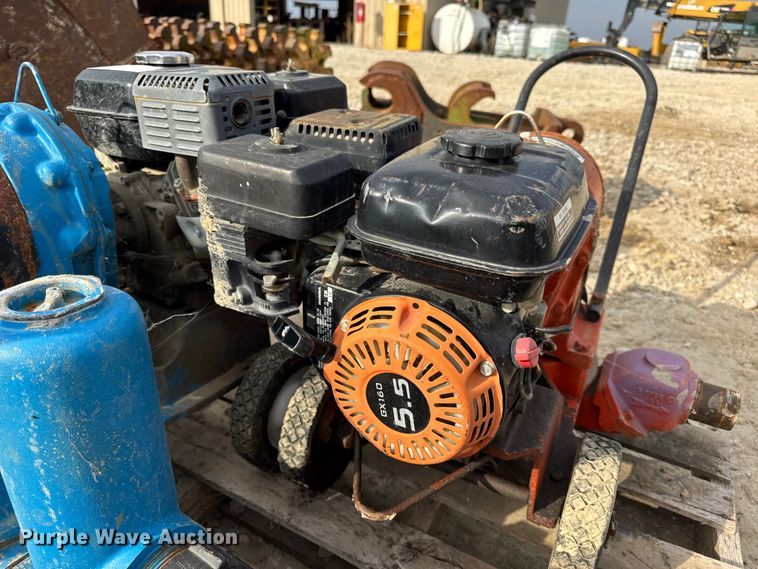 image for item DO2329 (11) pumps