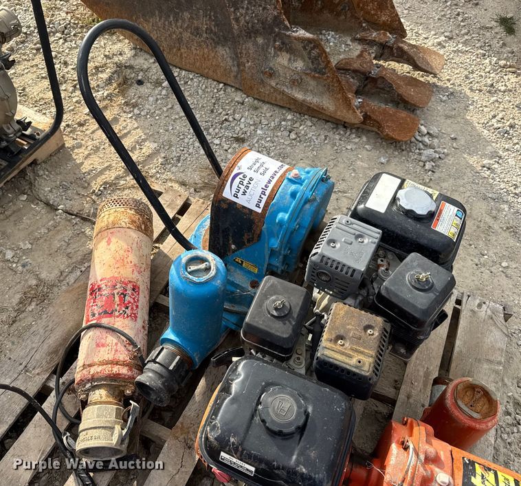 image for item DO2329 (11) pumps