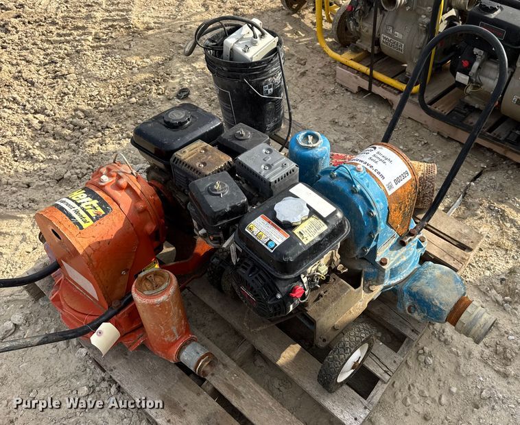 image for item DO2329 (11) pumps