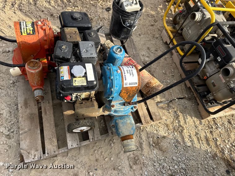 image for item DO2329 (11) pumps