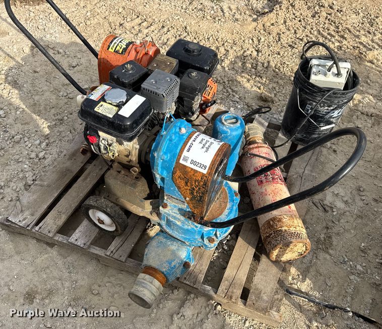 image for item DO2329 (11) pumps