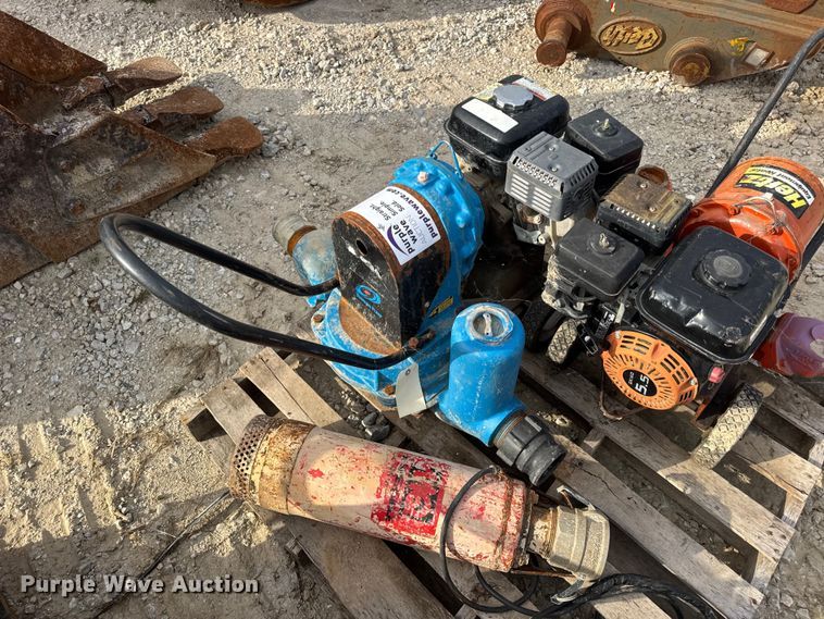 image for item DO2329 (11) pumps