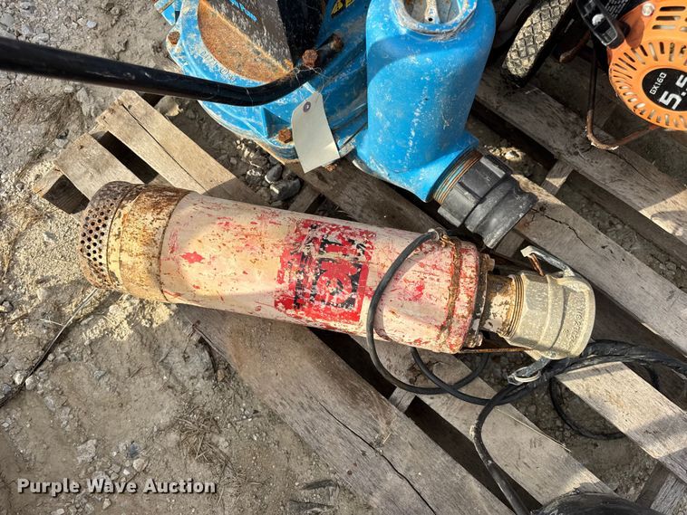 image for item DO2329 (11) pumps