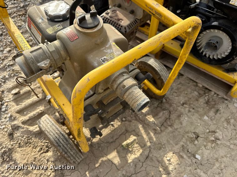 image for item DO2329 (11) pumps