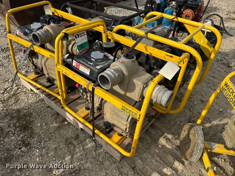 image for item DO2329 (11) pumps