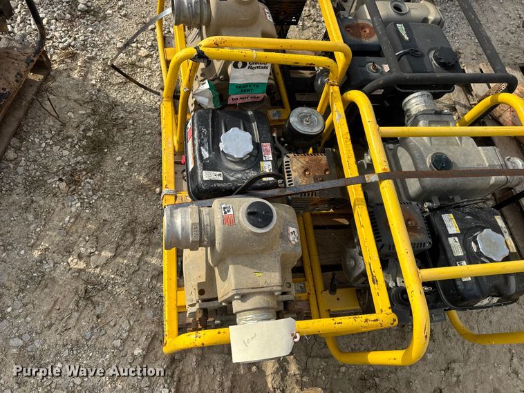 image for item DO2329 (11) pumps