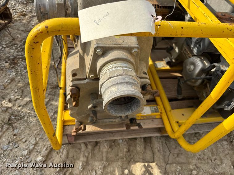 image for item DO2329 (11) pumps