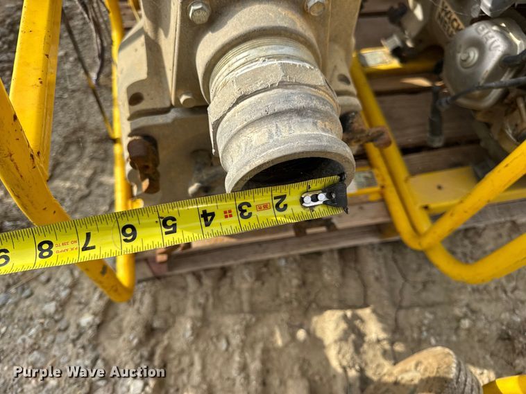 image for item DO2329 (11) pumps