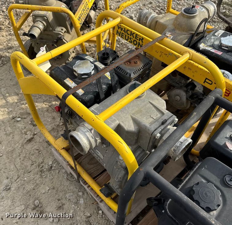 image for item DO2329 (11) pumps