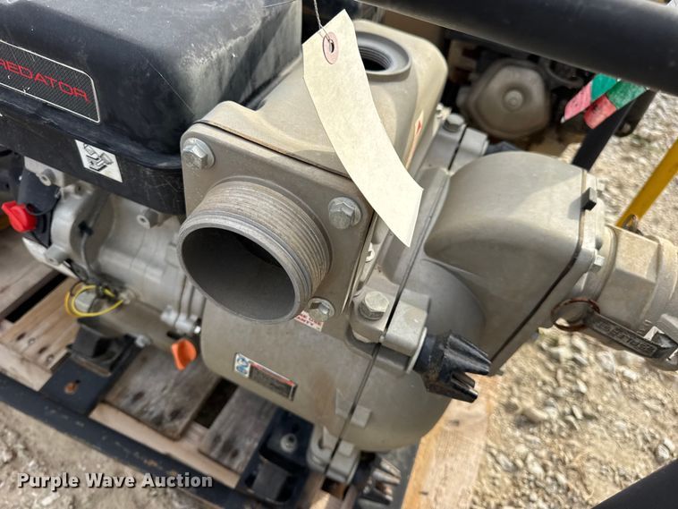 image for item DO2329 (11) pumps