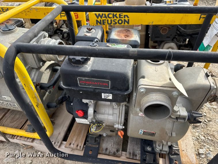 image for item DO2329 (11) pumps