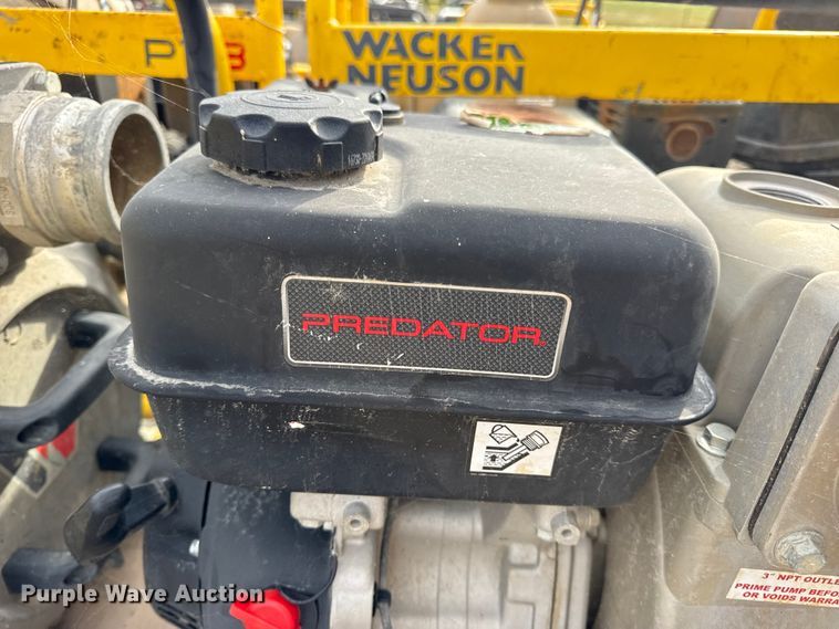 image for item DO2329 (11) pumps