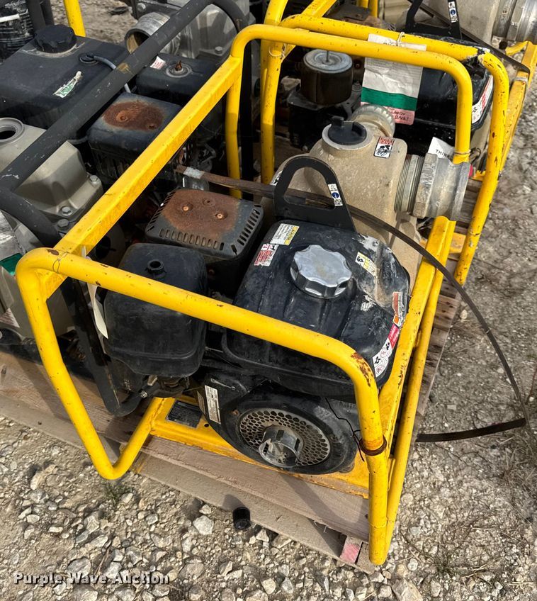 image for item DO2329 (11) pumps