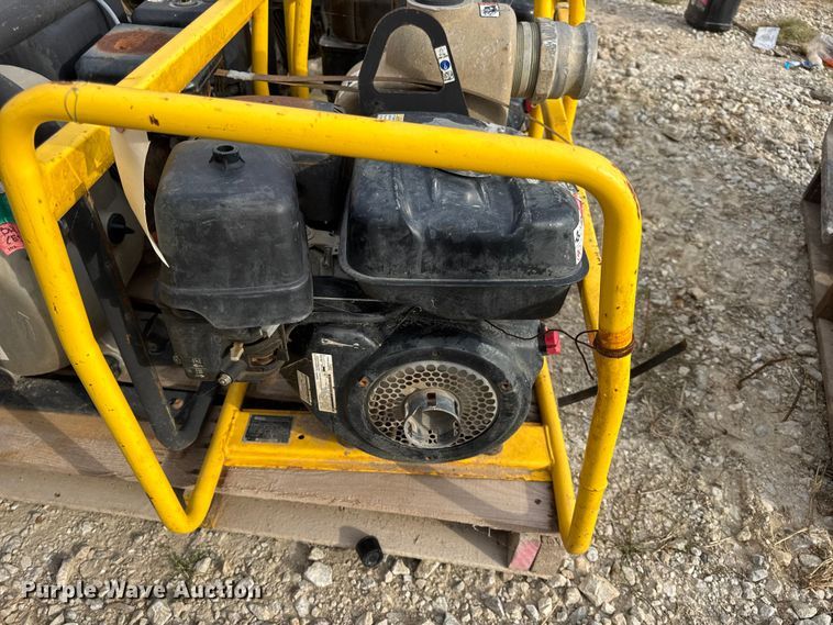 image for item DO2329 (11) pumps