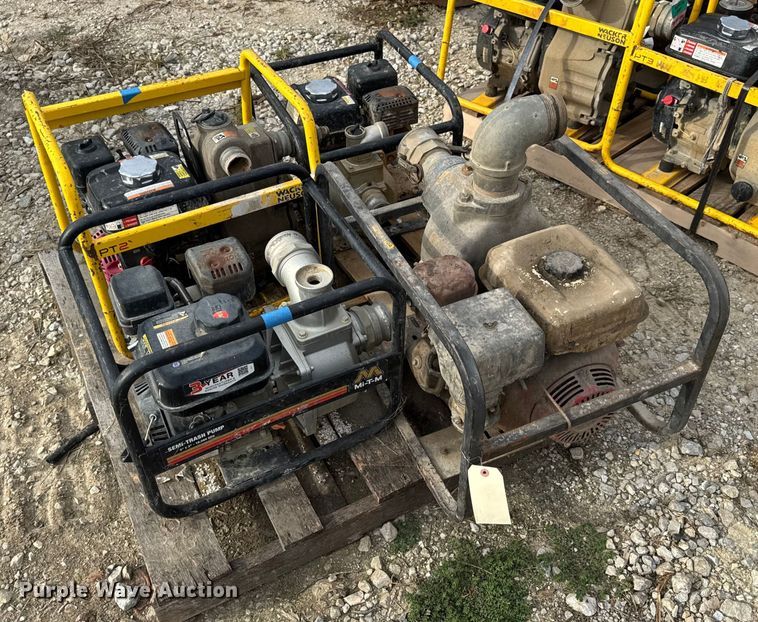 image for item DO2329 (11) pumps