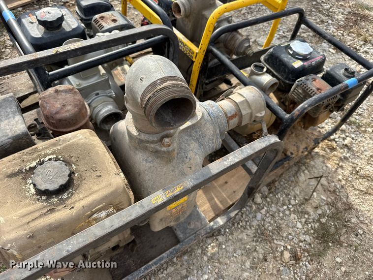 image for item DO2329 (11) pumps