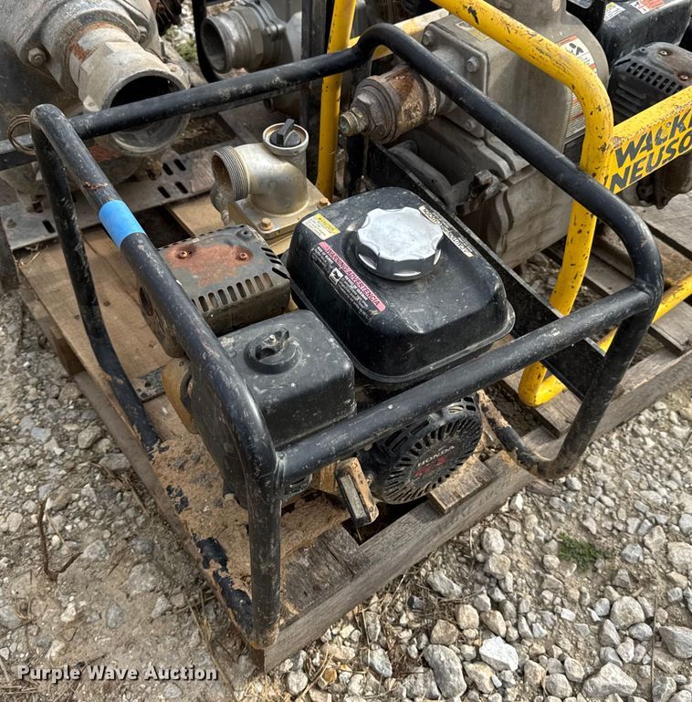 image for item DO2329 (11) pumps