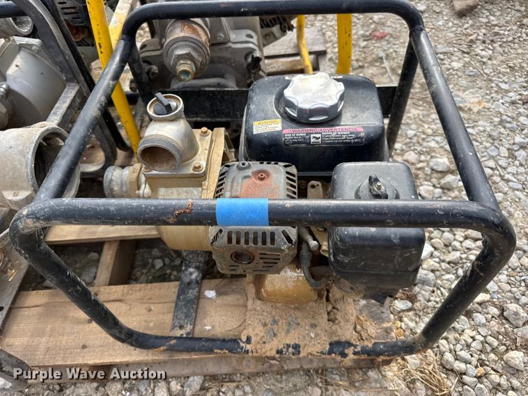 image for item DO2329 (11) pumps