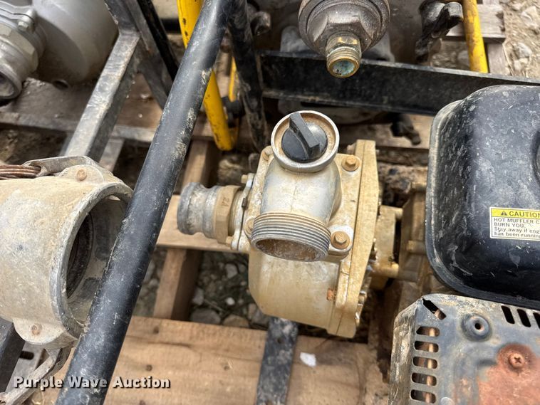 image for item DO2329 (11) pumps