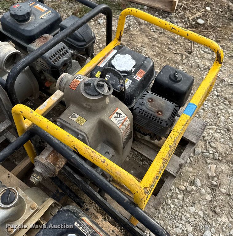 image for item DO2329 (11) pumps