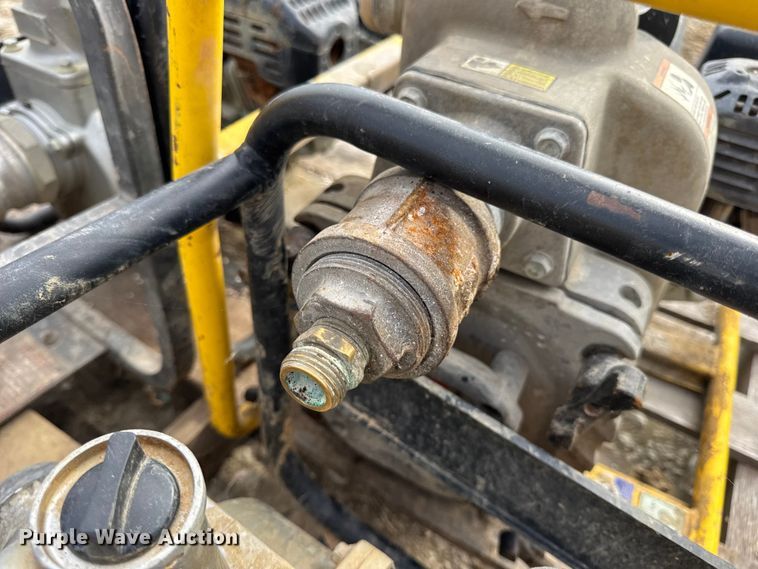 image for item DO2329 (11) pumps