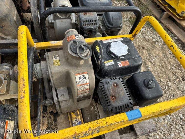 image for item DO2329 (11) pumps