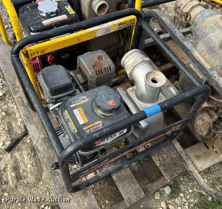 image for item DO2329 (11) pumps