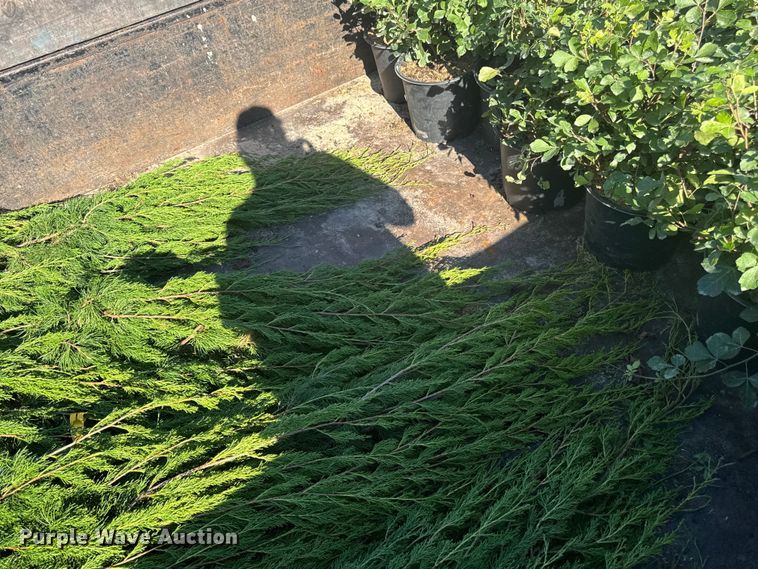 image for item EV4093 2021 Ford F600 dump truck