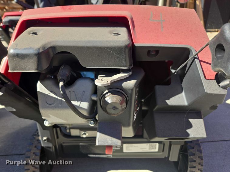 image for item EV4372 snow blowers