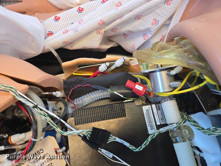 image for item DY1280 (4) Istan patient simulators