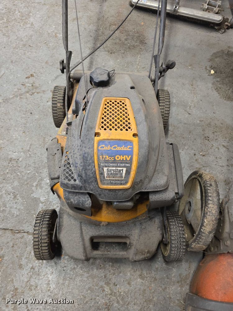 image for item DZ6356 (4) push mowers