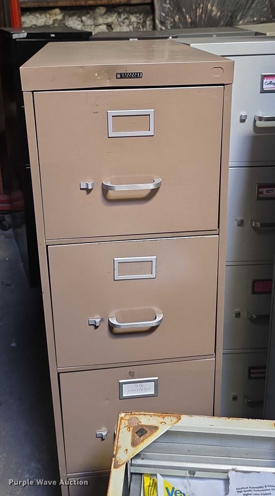 image for item DZ6378 (20) filing cabinets 