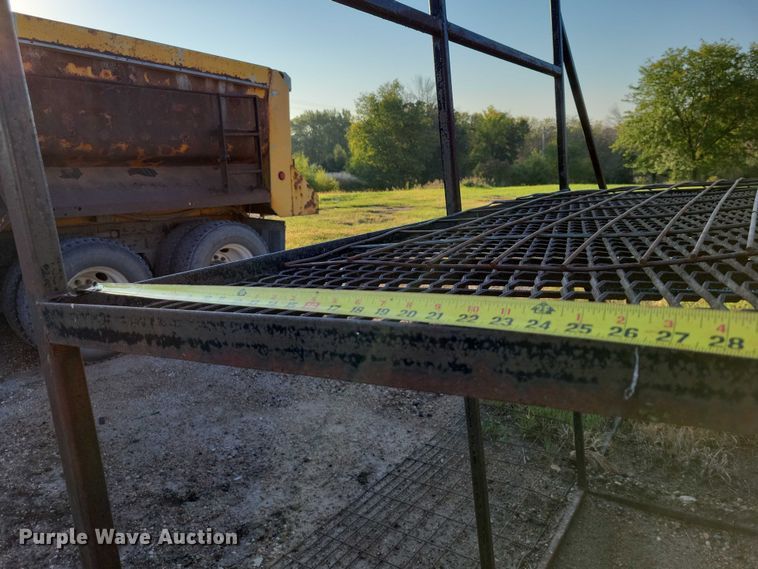 image for item DZ6746 Catwalk