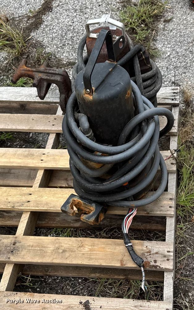 image for item EM8240 (2) pumps