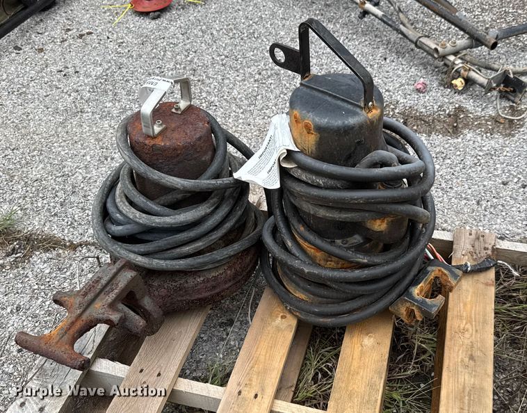 image for item EM8240 (2) pumps