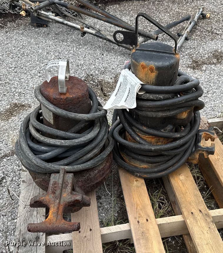 image for item EM8240 (2) pumps