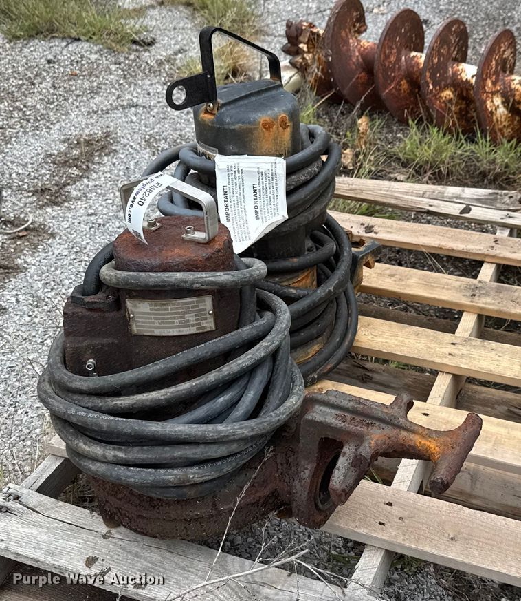 image for item EM8240 (2) pumps