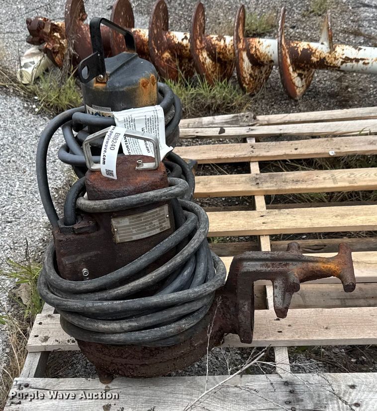 image for item EM8240 (2) pumps