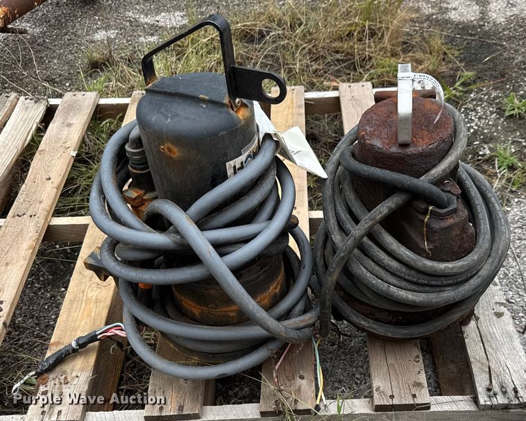 image for item EM8240 (2) pumps