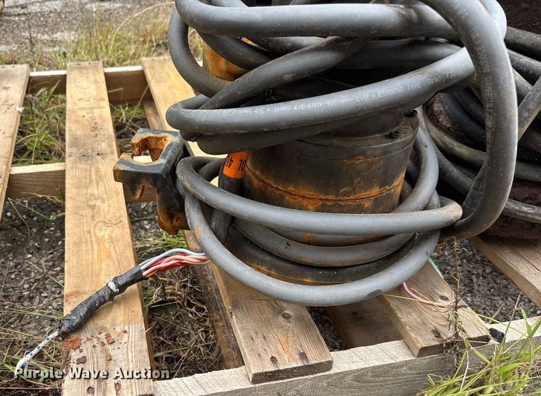 image for item EM8240 (2) pumps