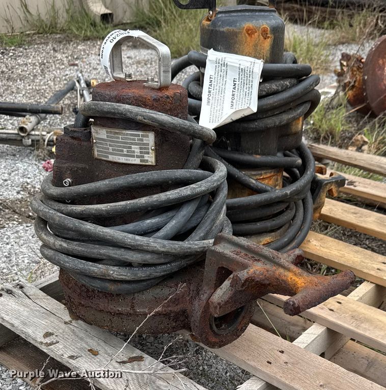 image for item EM8240 (2) pumps