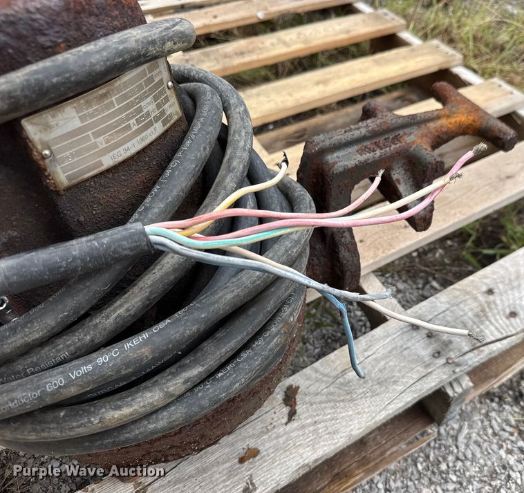 image for item EM8240 (2) pumps