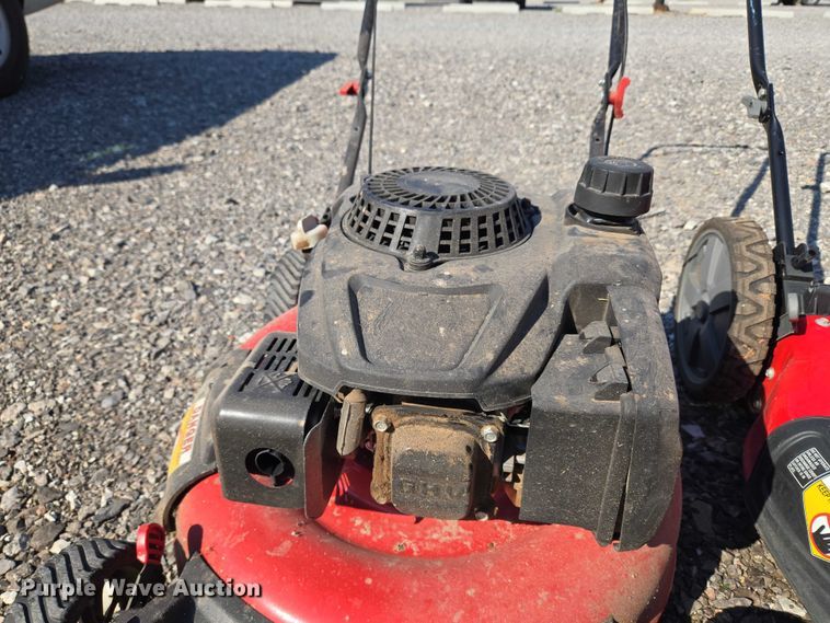 image for item EU3837 (3) push mowers